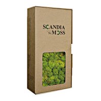 SM(Scandia Moss)ボックス