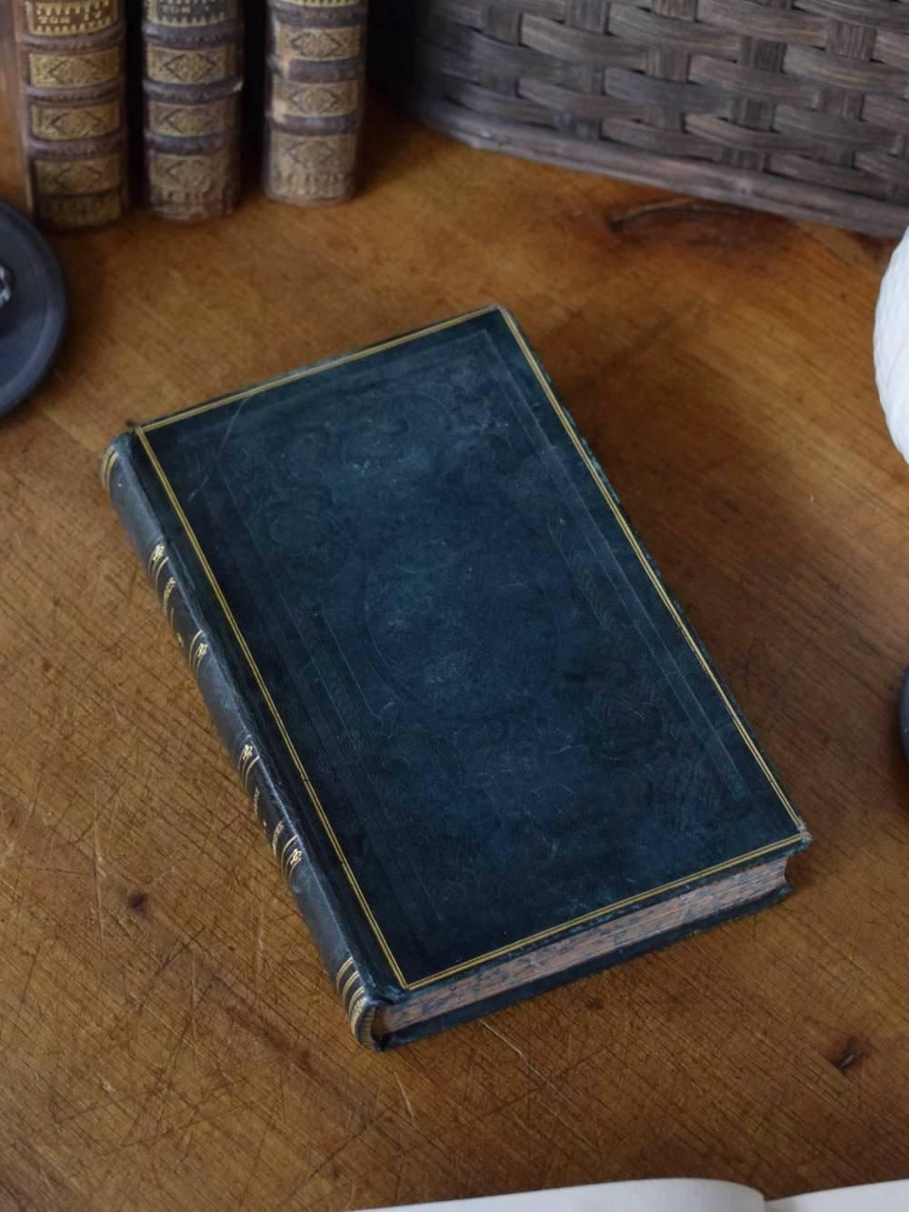 ❤１７０年前❤【フランス・高級アンティーク洋書】４冊セット⭐️革製⭐️希少 ヨーロッパ,児童書,ドール,アンティーク,古書,Heckenröschen,物語