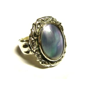 Ivied Frame Stone Setting Ring(オスメニア)