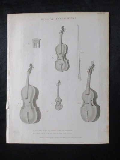 銅版画,古典,楽器,楽器,ヴァイオリン,ヴィオラ,チェロ,16世紀