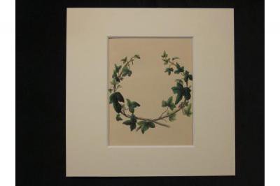 Wreath Ivy アイビー リース 思い出のブーケ Henslow Bouquet Of Souvenirs ヘンスロー