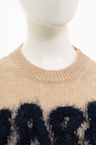 MARNI マルニ シェットランド ウール ロゴ クルーネックセーター-&G