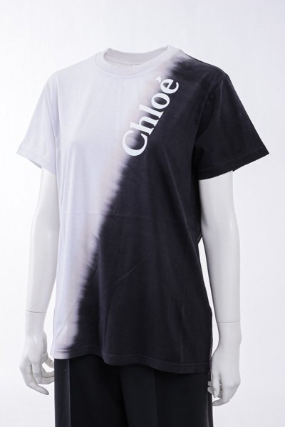 CHLOE クロエ CHC22AJH02182101 ウィングスリーブ Tシャツ44cm袖丈20cm