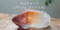ELO