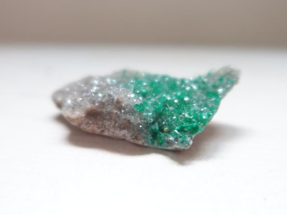 ¥³¥ó¥´»º¥À¥¤¥ª¥×¥Æ¡¼¥ºwith¥¯¥©¡¼¥Ä