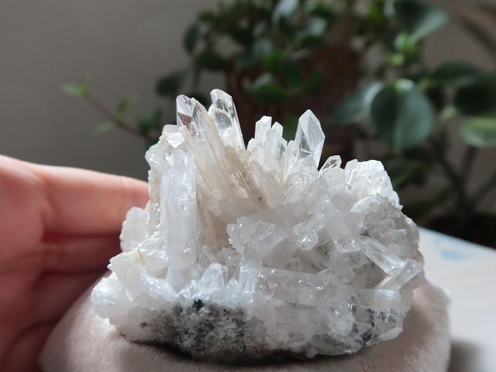 ¥á¥¥·¥³»º¥À¥ó¥Ó¥å¥é¥¤¥È ¥¯¥é¥¹¥¿¡¼¡Ê¥¯¥Ã¥·¥ç¥óÉÕ¡Ë