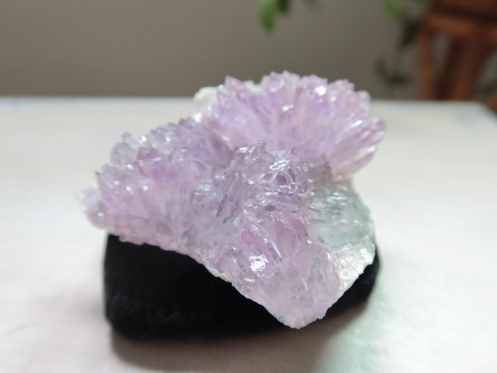 ¥Ö¥é¥¸¥ë»º¥Õ¥é¥ï¡¼¥¢¥á¥·¥¹¥È ·ë¾½¥¯¥é¥¹¥¿¡¼