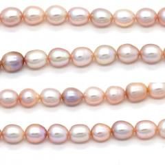 2�ġ�20�ġ�ø��ѡ���ʿ���˥饤��8.5�����ʡ�0.5�����˥Х�����åȡ�ø���ѡ��ץ륫�顼��49751938��