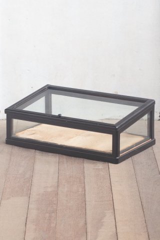 Glass Showcase