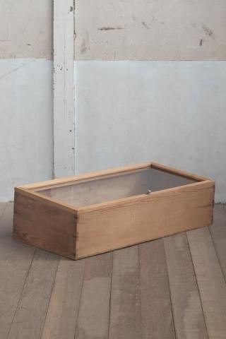 Glass Showcase