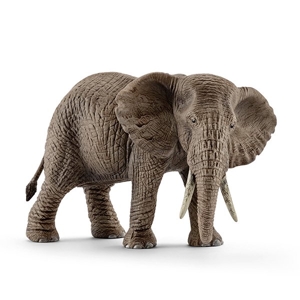 シュライヒ Schleich アフリカ象 メス ドイツの動物フィギュア かわいいと楽しいをお届けします 雑貨屋5cochi ゴコチ オンライン通販ショップ