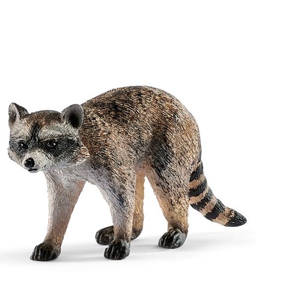 シュライヒ Schleich アライグマ ドイツの動物フィギュア かわいいと楽しいをお届けします 雑貨屋5cochi ゴコチ オンライン通販ショップ