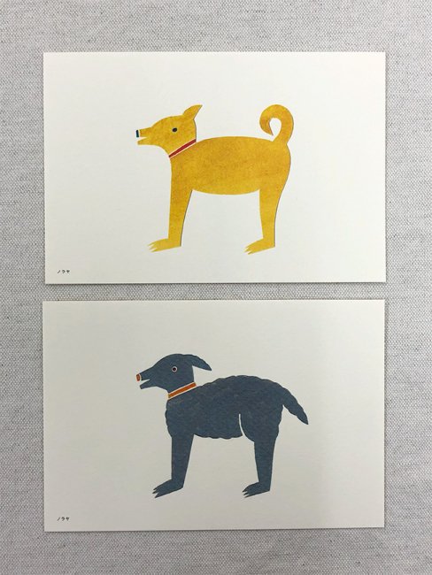 ノラヤ 犬のカード