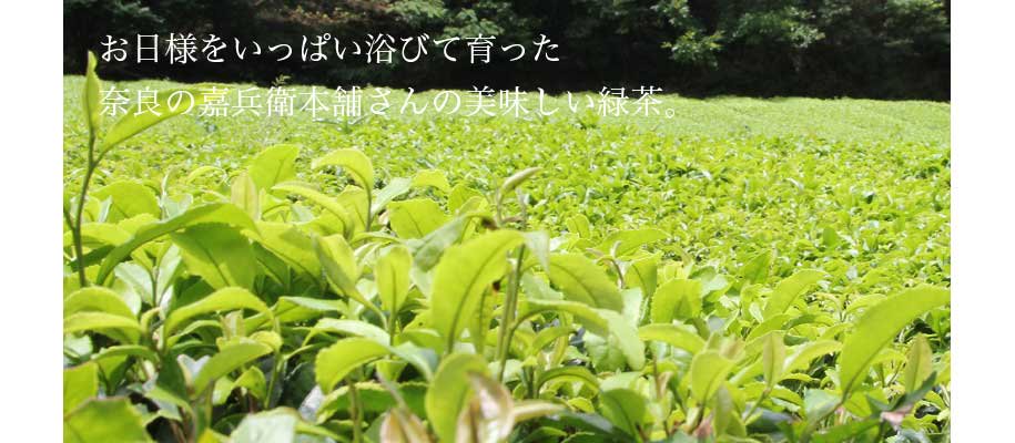 嘉兵衛本舗の緑茶