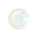 �ۥ磻�ȥ��ѡ����VIVA12��