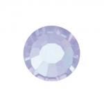 ���쥭����ɥ饤�ȡ�VIVA12�� 