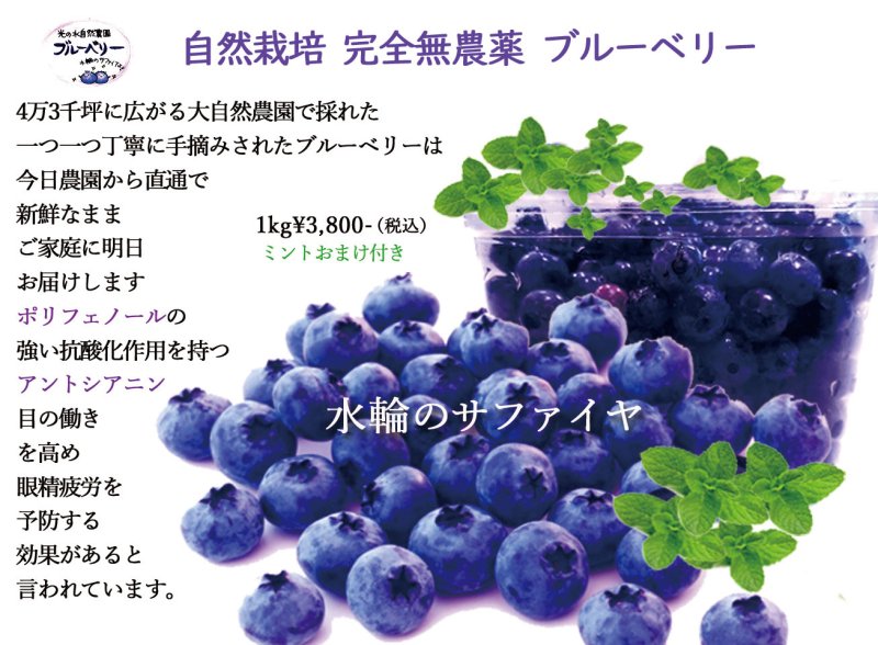 冷凍ブルーベリー 6.5kg 無農薬無選別+spbgp44.ru