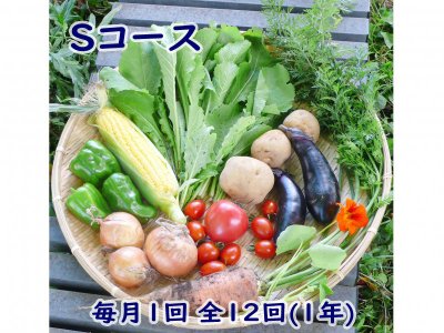 自然栽培 お野菜定期便 Sコース毎月1回 全12回(1年)(2,700円×12回分)