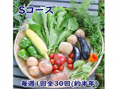 自然栽培 お野菜定期便 Sコース毎週1回全30回(約半年)(2,700円×30回分)