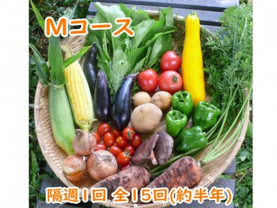 自然栽培 お野菜定期便 Mコース 隔週1回 全15回(約半年)（3,780円×15回分）