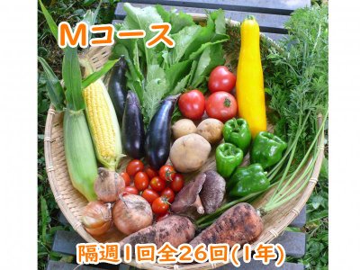 自然栽培 お野菜定期便 Mコース 隔週1回全26回(1年)（3,780円×26回分）