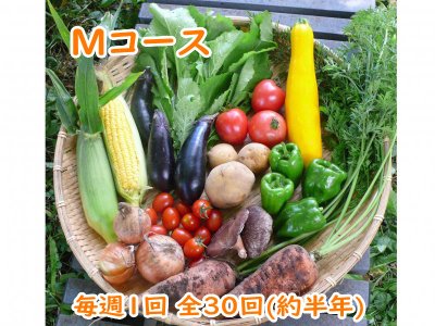 自然栽培 お野菜定期便 Mコース 毎週1回全30回(約半年)（3,780円×30回分）