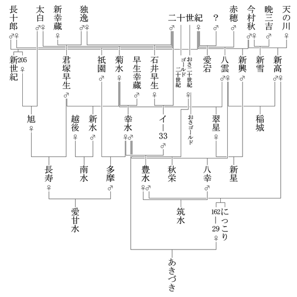 ナシの主要品種の系統図