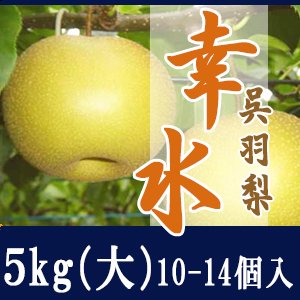 幸水5kg/（大）10-14個入 - 滝脇梨園/幸水・豊水・新高・あきづきをお