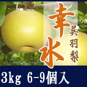 幸水3kg/6-9個入 - 滝脇梨園/幸水・豊水・新高・あきづきをお届けします/呉羽梨の生産販売