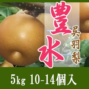 幸水梨 良品 5kg 20玉 (14-5)