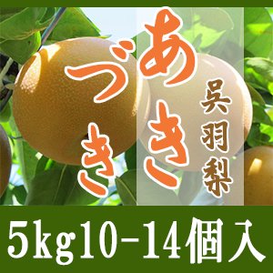 あきづき/5kg 10個-14個入 - 滝脇梨園/幸水・豊水・新高・あきづきをお