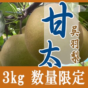 呉羽梨「幸水 豊水 あきづき 新高 甘太」の生産販売/滝脇梨園(たきわき