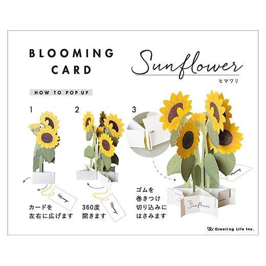 サマーブルーミングカード ヒマワリ | フラワーモチーフの存在感ある