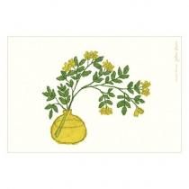 WANDS バインダー　グリーティングカード 楽天市場】グリーティングライフ（ファイル・バインダー｜文房具