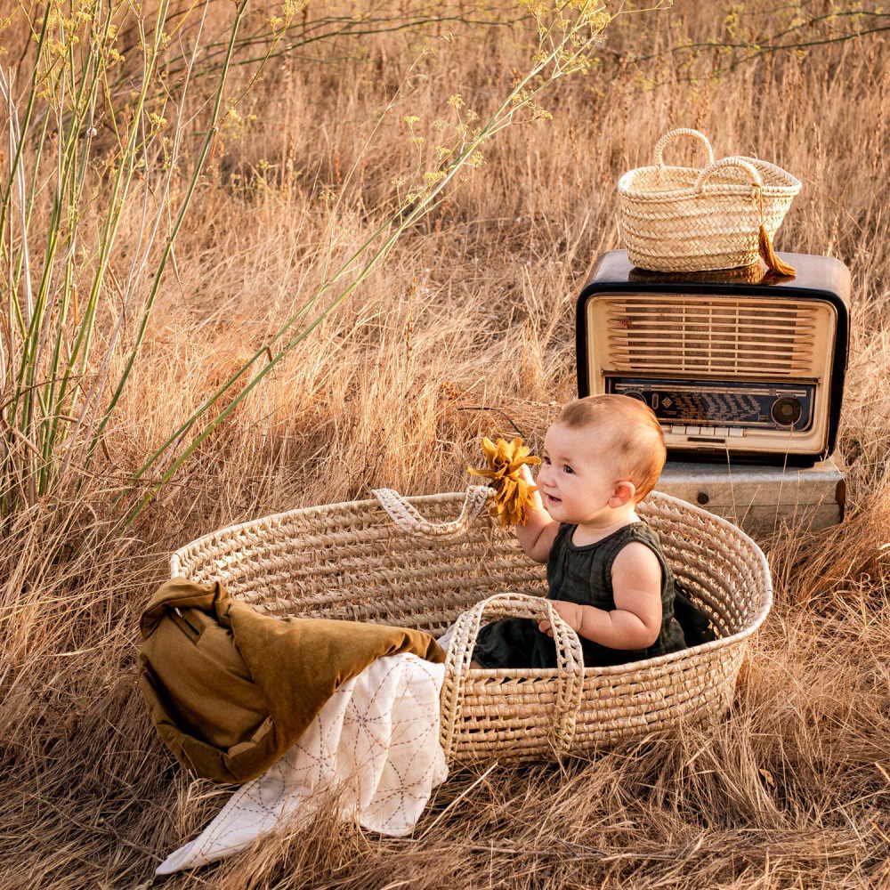 ϥ ޥåȥ쥹դ / moses basket + mattress img9