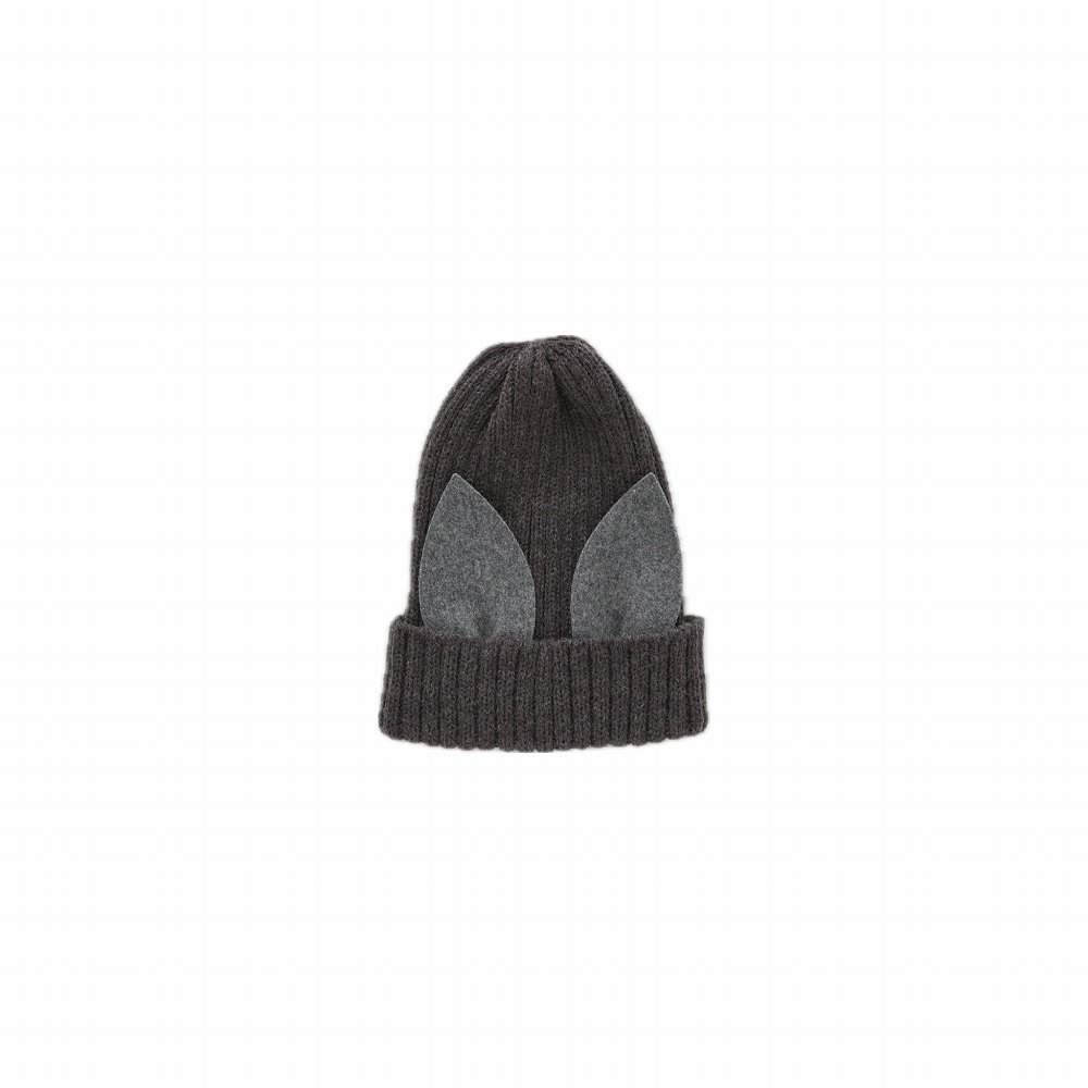 Beast beanie gray img