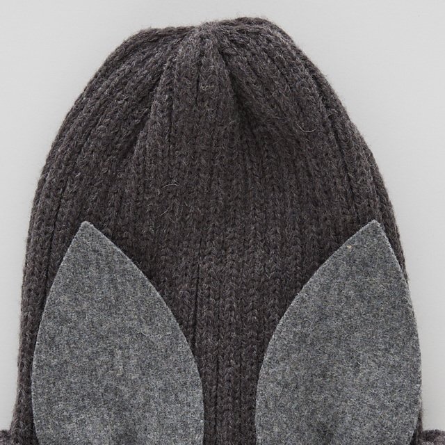 Beast beanie gray img1