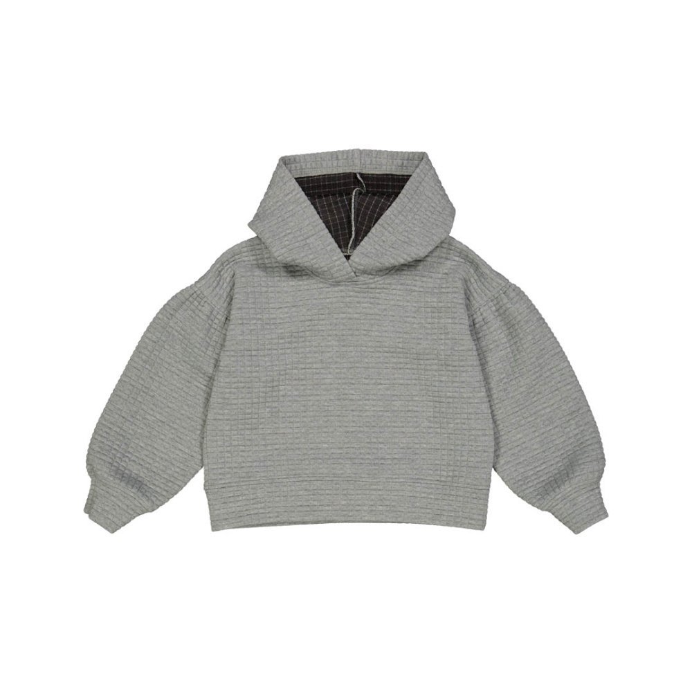 åץɥաǥ Hoodie No.433 28 Gray img1