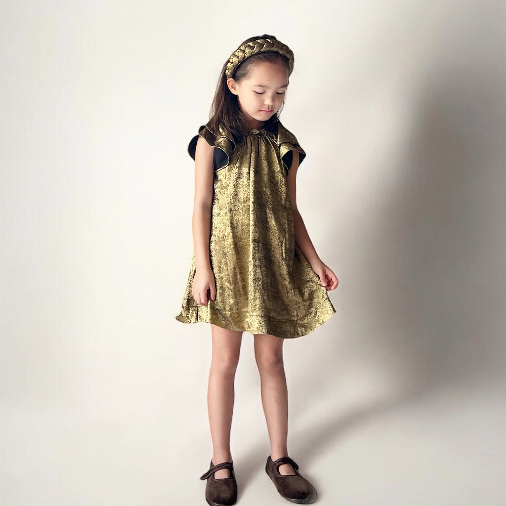 Isabella Dress Gold img9