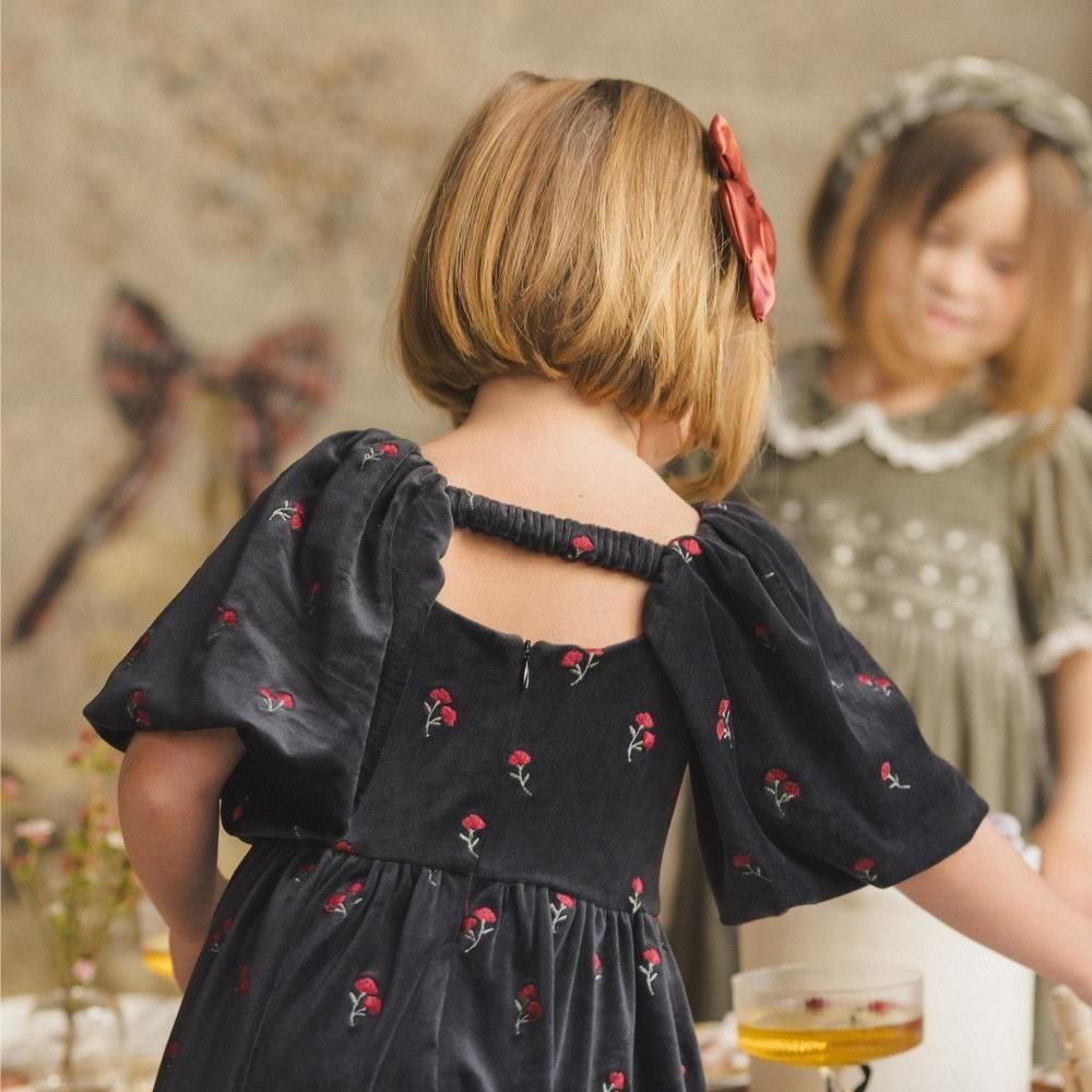 NORALEE åɥ쥹 / Nina Dress Velvet Floral img2