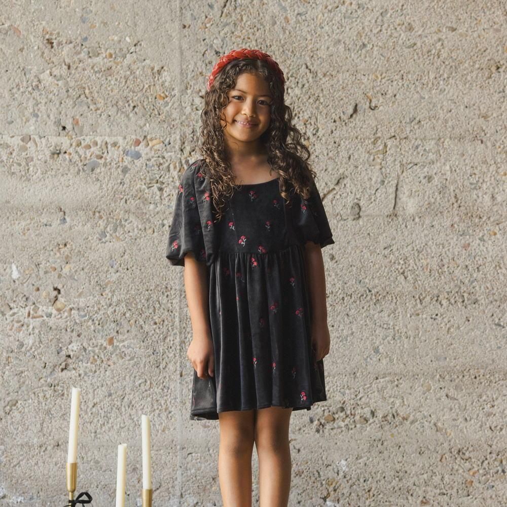 NORALEE åɥ쥹 / Nina Dress Velvet Floral img3