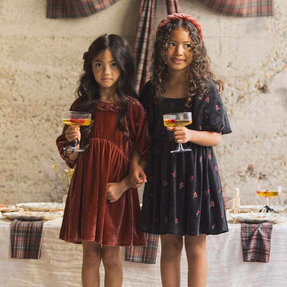 NORALEE åɥ쥹 / Nina Dress Velvet Floral img5