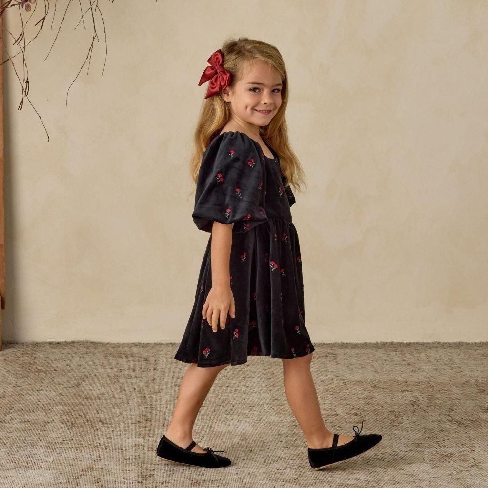 NORALEE åɥ쥹 / Nina Dress Velvet Floral img7