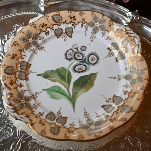  １８３０年代　サミュエルオールコック　ピーチ色　手描きの植物が描かれたサンドイッチプレート (送料込）