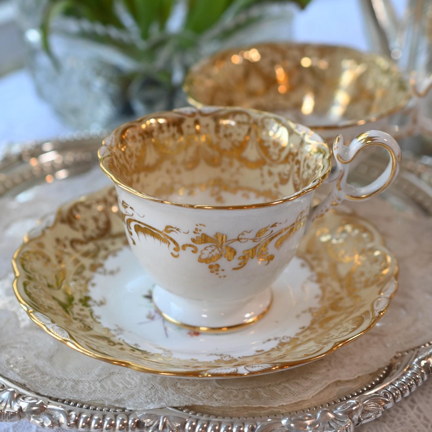 コールポート 1830年代 イエローベージュ＆ゴールドが眩いアデレード