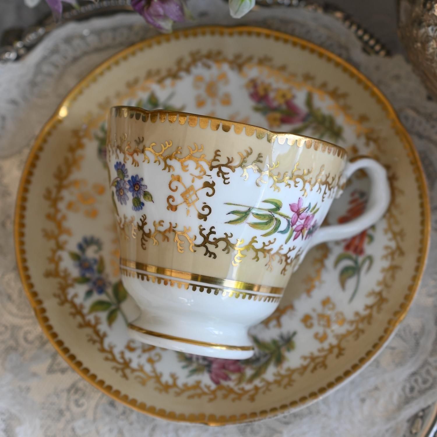 ヴィクトリア時代・コールポート 珍しい絵柄が描かれた優雅な