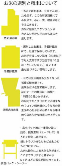 2022年度新米 標高600m 無農薬湧水玄米30キロ 高冷地米 美味 安心