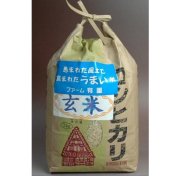 コシヒカリ　玄米　2kg