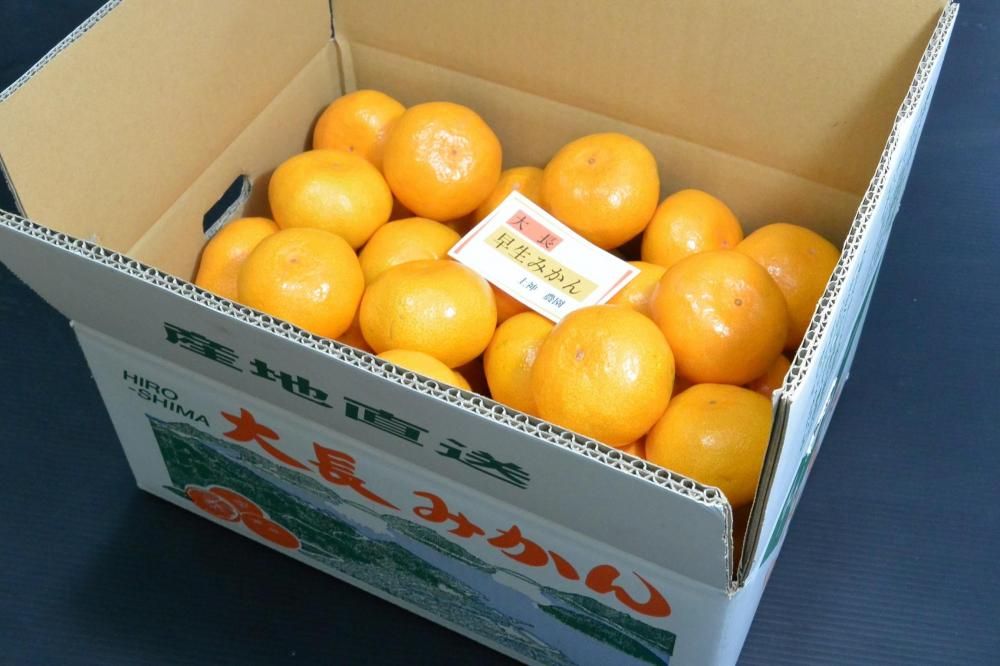 <img class='new_mark_img1' src='https://img.shop-pro.jp/img/new/icons1.gif' style='border:none;display:inline;margin:0px;padding:0px;width:auto;' />Ĺߤؾ̳ƻ