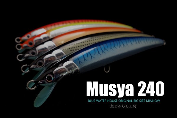 お１人様１個まで】魚じゃらし工房/Musya240